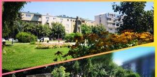 Благородничка генерација
